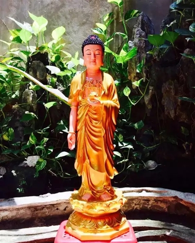 Tượng Phật A Di Đà Cao 90cm nhũ sen vang