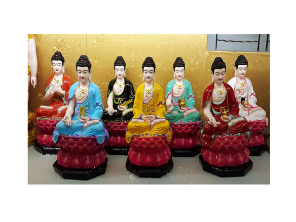 Bộ dược sư màu 50cm
